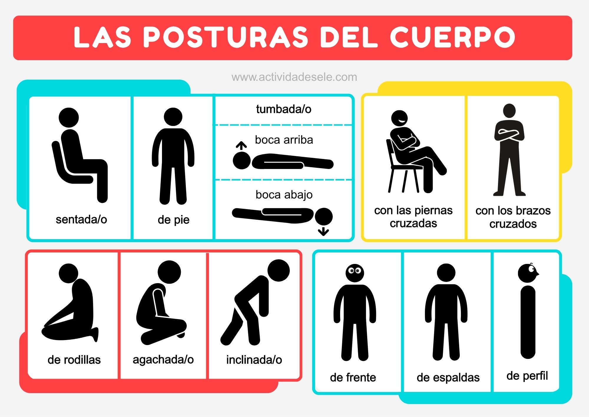 Posturas del cuerpo en español infografía